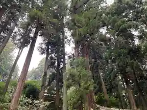 大宮温泉神社(栃木県)(2023年06月23日(金) 09時55分41秒投稿)