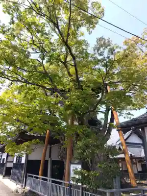 専福寺(福井県)