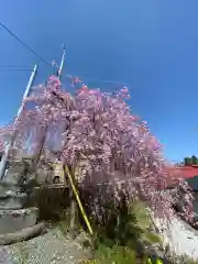 安養寺(福島県)