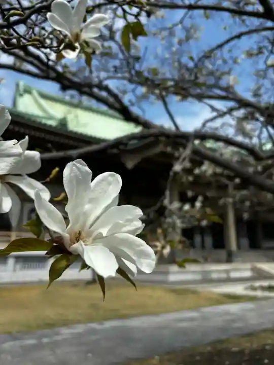 総持寺の{uncategorized: "未分類", other: "その他", undefined: "問題あり", building: "その他建物", grave: "お墓", sacred_gate: "鳥居", guardian: "狛犬", statue: "像", buddha: "仏像", history: "歴史", nature: "自然", garden: "庭園", animal: "動物", pagoda: "塔", temizu: "手水舎", mountain_gate: "山門・神門", sanctuary: "本殿・本堂", subordinate: "末社・摂社", art: "芸術", scenery: "景色", jizo: "地蔵", ema: "絵馬", goshuin: "御朱印", omikuji: "おみくじ", items: "授与品その他", amulet: "お守り", goshuincho: "御朱印帳", eats: "食事", festival: "お祭り", votive_dance: "神楽", shichigosan: "七五三参", wedding: "結婚式", experience: "体験その他", initially: "初詣", around: "周辺", anti_infection: "感染症対策"}