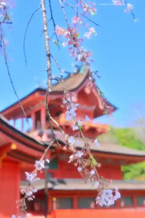 富士山本宮浅間大社(静岡県)
