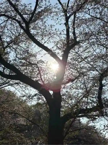 東蕗田天満社(茨城県)