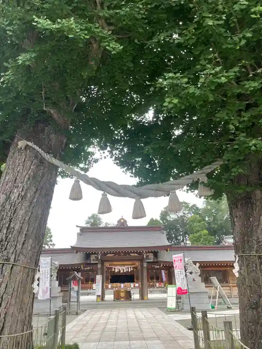 亀ケ池八幡宮の本殿・本堂