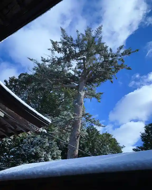 滑川神社 - 仕事と子どもの守り神(福島県)