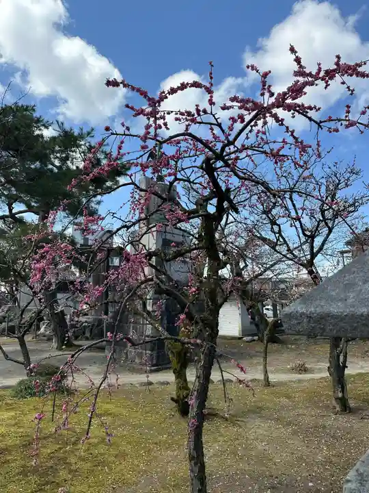 於保多神社(富山県)