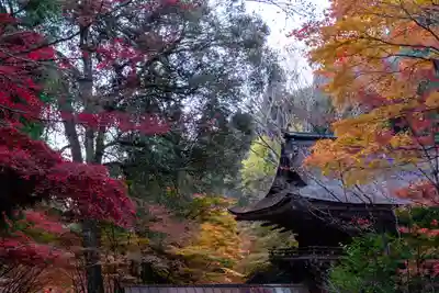 大矢田神社(岐阜県)