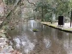 賀茂別雷神社（上賀茂神社）の自然