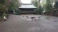 谷保天満宮の動物