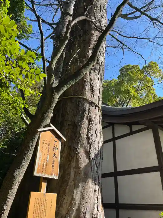 川越氷川神社の{uncategorized: "未分類", other: "その他", undefined: "問題あり", building: "その他建物", grave: "お墓", sacred_gate: "鳥居", guardian: "狛犬", statue: "像", buddha: "仏像", history: "歴史", nature: "自然", garden: "庭園", animal: "動物", pagoda: "塔", temizu: "手水舎", mountain_gate: "山門・神門", sanctuary: "本殿・本堂", subordinate: "末社・摂社", art: "芸術", scenery: "景色", jizo: "地蔵", ema: "絵馬", goshuin: "御朱印", omikuji: "おみくじ", items: "授与品その他", amulet: "お守り", goshuincho: "御朱印帳", eats: "食事", festival: "お祭り", votive_dance: "神楽", shichigosan: "七五三参", wedding: "結婚式", experience: "体験その他", initially: "初詣", around: "周辺", anti_infection: "感染症対策"}