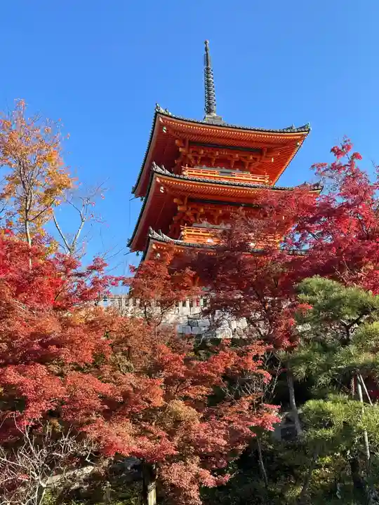 清水寺(京都府)
