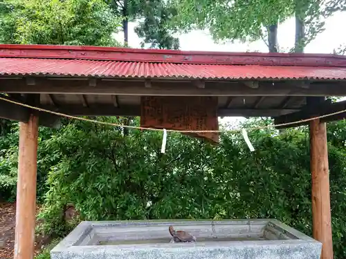 須賀神社の手水舎