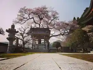 清水寺のその他建物(2021年06月28日(月) 14時56分28秒投稿)