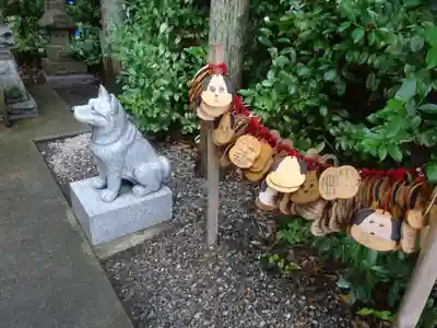 座間神社の狛犬