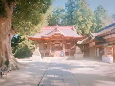 素鵞神社の本殿・本堂