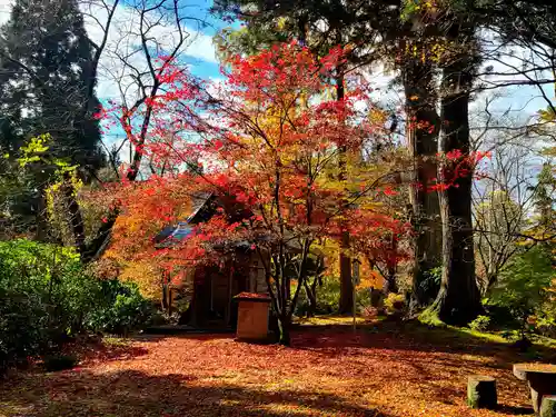 如法寺（鳥追観音）の自然