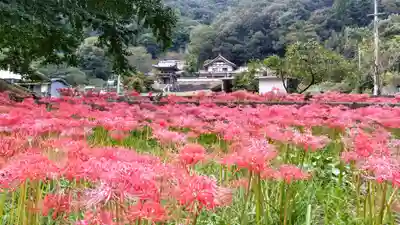 浄福寺(岡山県)