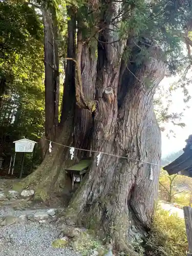 萩日吉神社(埼玉県)