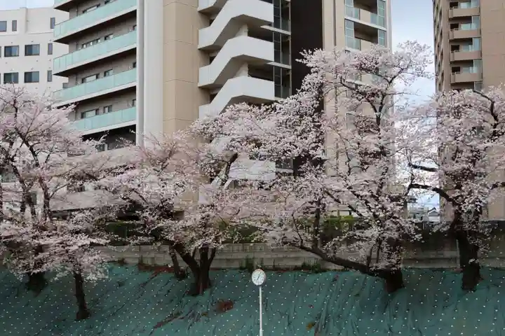 愛宕神社の周辺