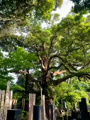 長生院(神奈川県)
