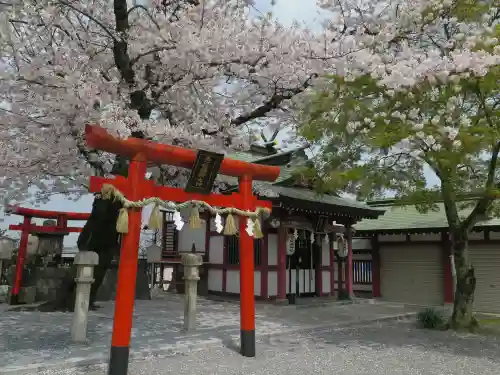 篠崎八幡神社の鳥居