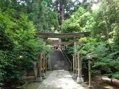 田間神社の鳥居