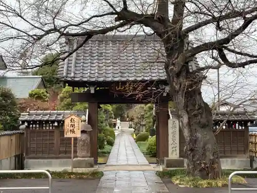 松林寺の山門