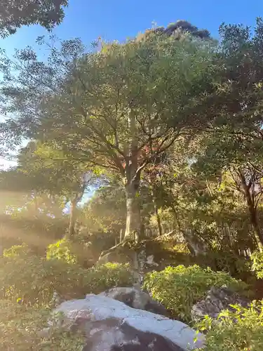 大興善寺(佐賀県)