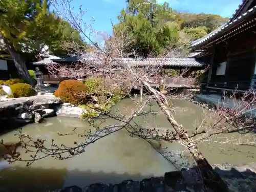 粉河寺の{uncategorized: "未分類", other: "その他", undefined: "問題あり", building: "その他建物", grave: "お墓", sacred_gate: "鳥居", guardian: "狛犬", statue: "像", buddha: "仏像", history: "歴史", nature: "自然", garden: "庭園", animal: "動物", pagoda: "塔", temizu: "手水舎", mountain_gate: "山門・神門", sanctuary: "本殿・本堂", subordinate: "末社・摂社", art: "芸術", scenery: "景色", jizo: "地蔵", ema: "絵馬", goshuin: "御朱印", omikuji: "おみくじ", items: "授与品その他", amulet: "お守り", goshuincho: "御朱印帳", eats: "食事", festival: "お祭り", votive_dance: "神楽", shichigosan: "七五三参", wedding: "結婚式", experience: "体験その他", initially: "初詣", around: "周辺", anti_infection: "感染症対策"}