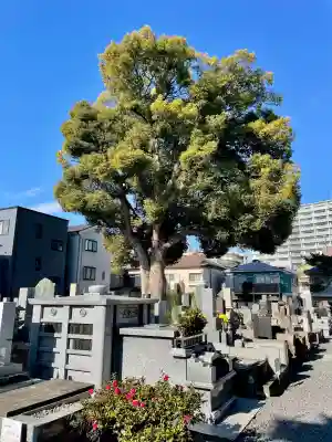 光明寺の{uncategorized: "未分類", other: "その他", undefined: "問題あり", building: "その他建物", grave: "お墓", sacred_gate: "鳥居", guardian: "狛犬", statue: "像", buddha: "仏像", history: "歴史", nature: "自然", garden: "庭園", animal: "動物", pagoda: "塔", temizu: "手水舎", mountain_gate: "山門・神門", sanctuary: "本殿・本堂", subordinate: "末社・摂社", art: "芸術", scenery: "景色", jizo: "地蔵", ema: "絵馬", goshuin: "御朱印", omikuji: "おみくじ", items: "授与品その他", amulet: "お守り", goshuincho: "御朱印帳", eats: "食事", festival: "お祭り", votive_dance: "神楽", shichigosan: "七五三参", wedding: "結婚式", experience: "体験その他", initially: "初詣", around: "周辺", anti_infection: "感染症対策"}