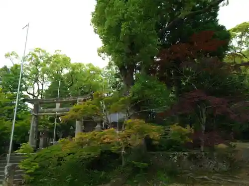 黒髪神社(佐賀県)