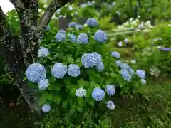 極楽寺(静岡県)