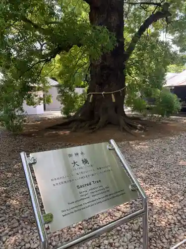 上野東照宮(東京都)