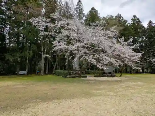 大斎原（熊野本宮大社旧社地）の{uncategorized: "未分類", other: "その他", undefined: "問題あり", building: "その他建物", grave: "お墓", sacred_gate: "鳥居", guardian: "狛犬", statue: "像", buddha: "仏像", history: "歴史", nature: "自然", garden: "庭園", animal: "動物", pagoda: "塔", temizu: "手水舎", mountain_gate: "山門・神門", sanctuary: "本殿・本堂", subordinate: "末社・摂社", art: "芸術", scenery: "景色", jizo: "地蔵", ema: "絵馬", goshuin: "御朱印", omikuji: "おみくじ", items: "授与品その他", amulet: "お守り", goshuincho: "御朱印帳", eats: "食事", festival: "お祭り", votive_dance: "神楽", shichigosan: "七五三参", wedding: "結婚式", experience: "体験その他", initially: "初詣", around: "周辺", anti_infection: "感染症対策"}