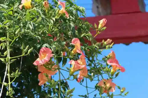 大鏑神社の鳥居