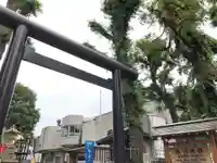 高円寺氷川神社の鳥居