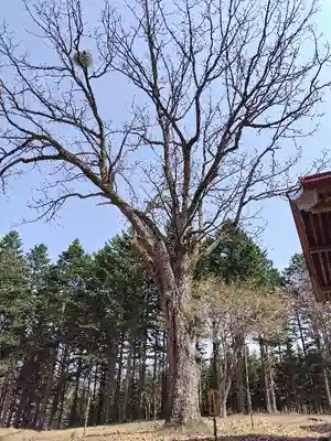 稲荷神社(北海道)