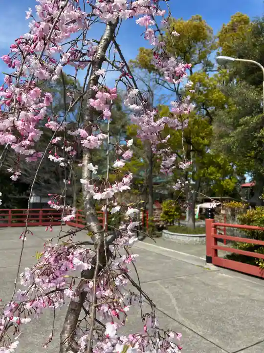 多摩川浅間神社の自然