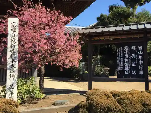 法華経寺の自然