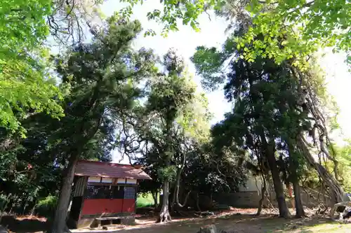 藤稲荷神社の本殿