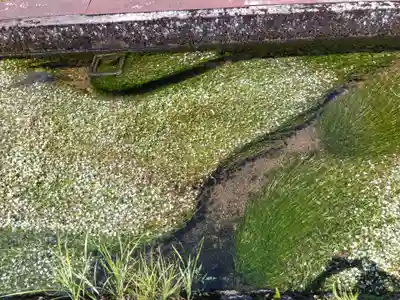 小烏神社(福井県)