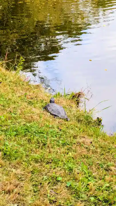 菊田神社の周辺