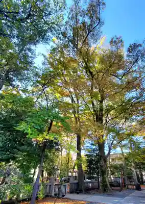 布多天神社(東京都)