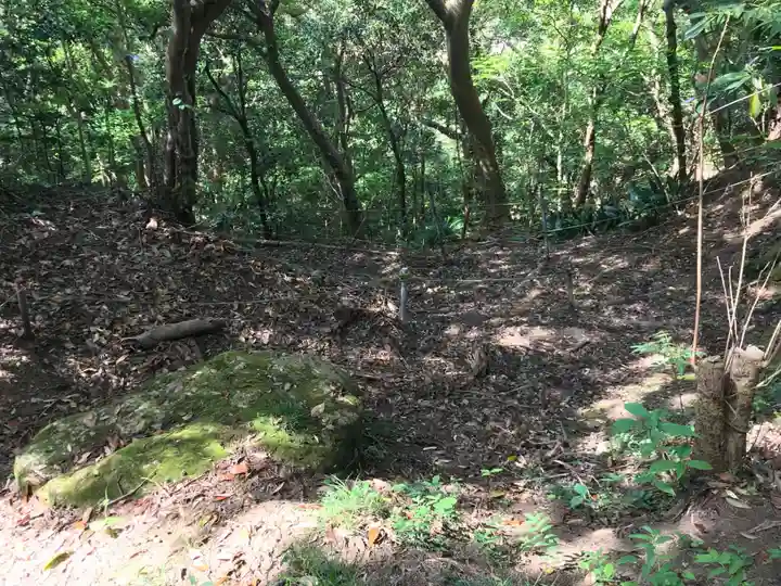 荒磯魚見根神社の自然
