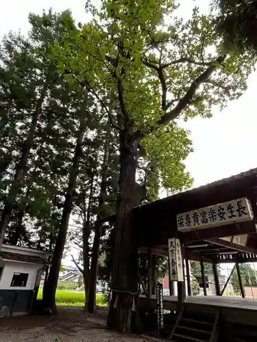 一本木神社(長野県)