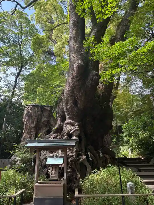 來宮神社の{uncategorized: "未分類", other: "その他", undefined: "問題あり", building: "その他建物", grave: "お墓", sacred_gate: "鳥居", guardian: "狛犬", statue: "像", buddha: "仏像", history: "歴史", nature: "自然", garden: "庭園", animal: "動物", pagoda: "塔", temizu: "手水舎", mountain_gate: "山門・神門", sanctuary: "本殿・本堂", subordinate: "末社・摂社", art: "芸術", scenery: "景色", jizo: "地蔵", ema: "絵馬", goshuin: "御朱印", omikuji: "おみくじ", items: "授与品その他", amulet: "お守り", goshuincho: "御朱印帳", eats: "食事", festival: "お祭り", votive_dance: "神楽", shichigosan: "七五三参", wedding: "結婚式", experience: "体験その他", initially: "初詣", around: "周辺", anti_infection: "感染症対策"}