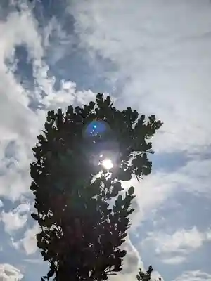 天久宮(沖縄県)