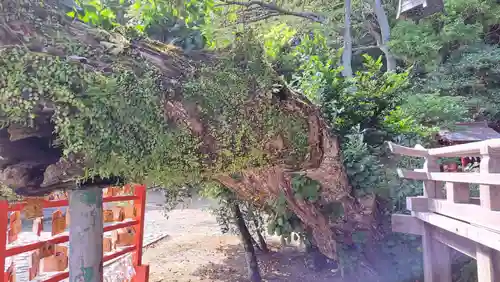 住吉神社(福島県)
