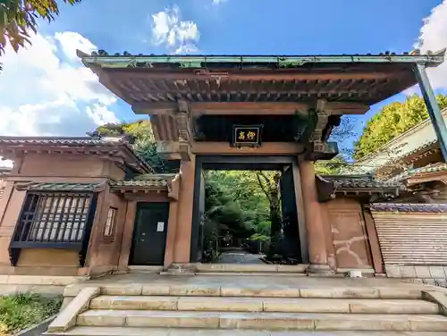 湯島聖堂の山門