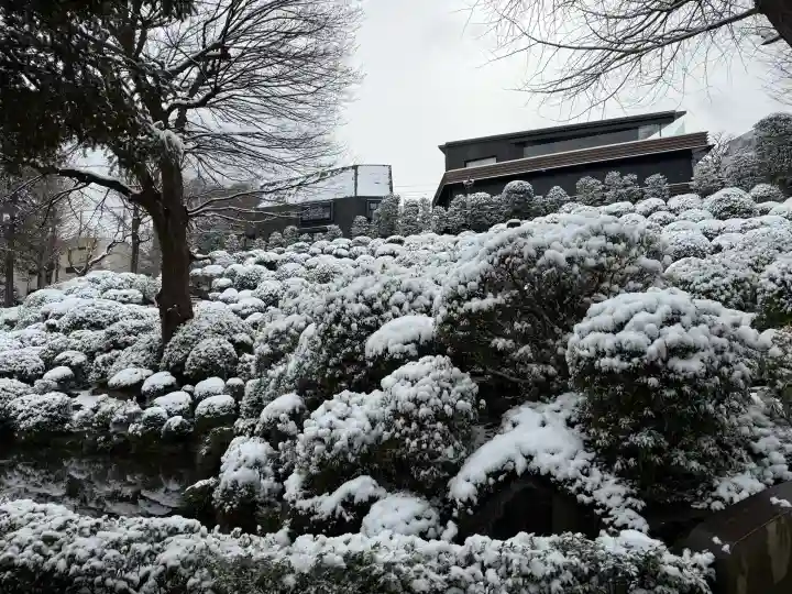 根津神社の{uncategorized: "未分類", other: "その他", undefined: "問題あり", building: "その他建物", grave: "お墓", sacred_gate: "鳥居", guardian: "狛犬", statue: "像", buddha: "仏像", history: "歴史", nature: "自然", garden: "庭園", animal: "動物", pagoda: "塔", temizu: "手水舎", mountain_gate: "山門・神門", sanctuary: "本殿・本堂", subordinate: "末社・摂社", art: "芸術", scenery: "景色", jizo: "地蔵", ema: "絵馬", goshuin: "御朱印", omikuji: "おみくじ", items: "授与品その他", amulet: "お守り", goshuincho: "御朱印帳", eats: "食事", festival: "お祭り", votive_dance: "神楽", shichigosan: "七五三参", wedding: "結婚式", experience: "体験その他", initially: "初詣", around: "周辺", anti_infection: "感染症対策"}