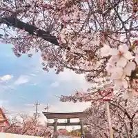 尾張大國霊神社(国府宮)の自然